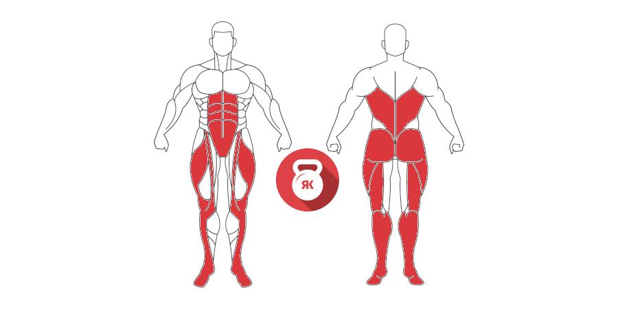 kettlebells pesas rusas cargada clean musculos implicados